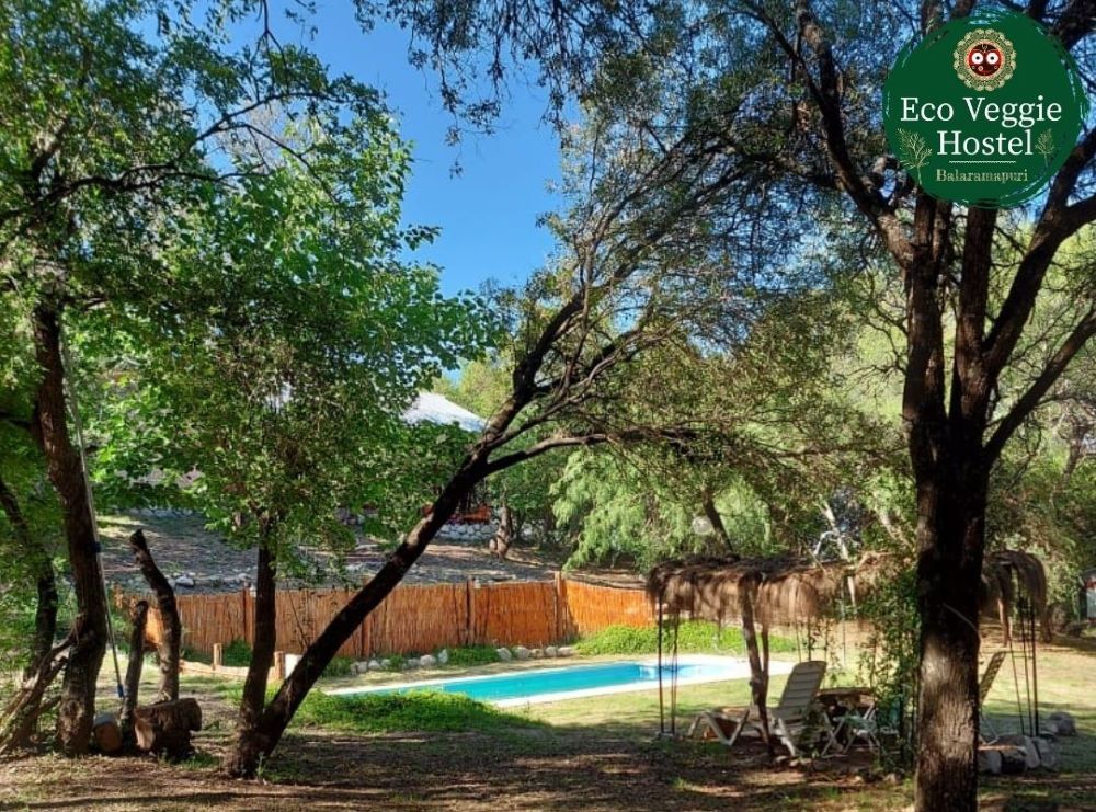 Eco Veggie Hostel 1