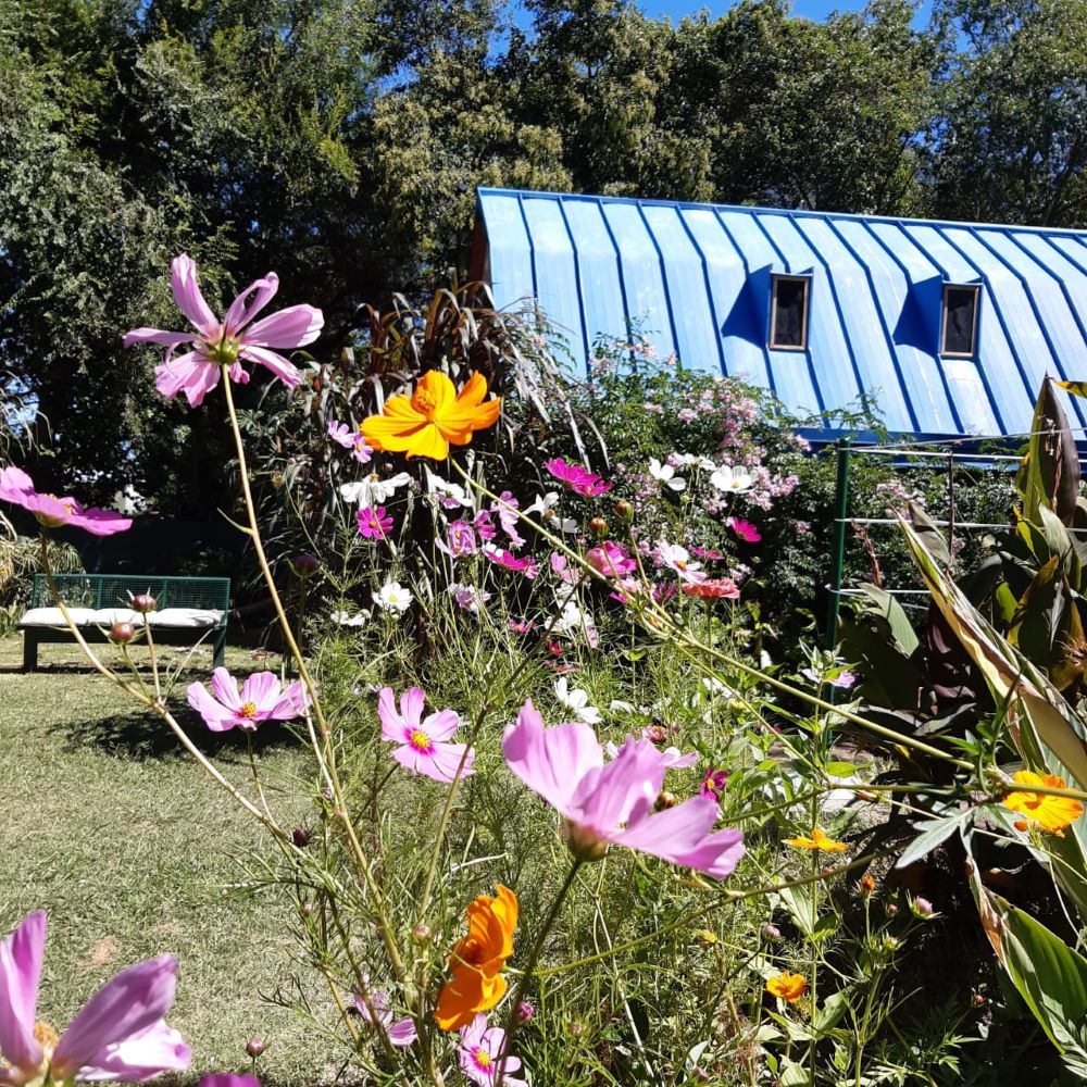 los ciruelos (1)