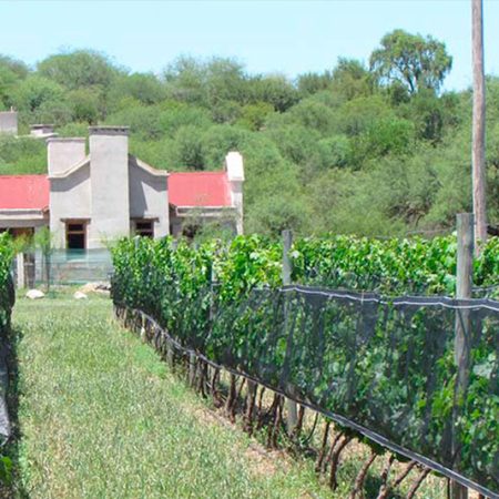 la-matilde-2